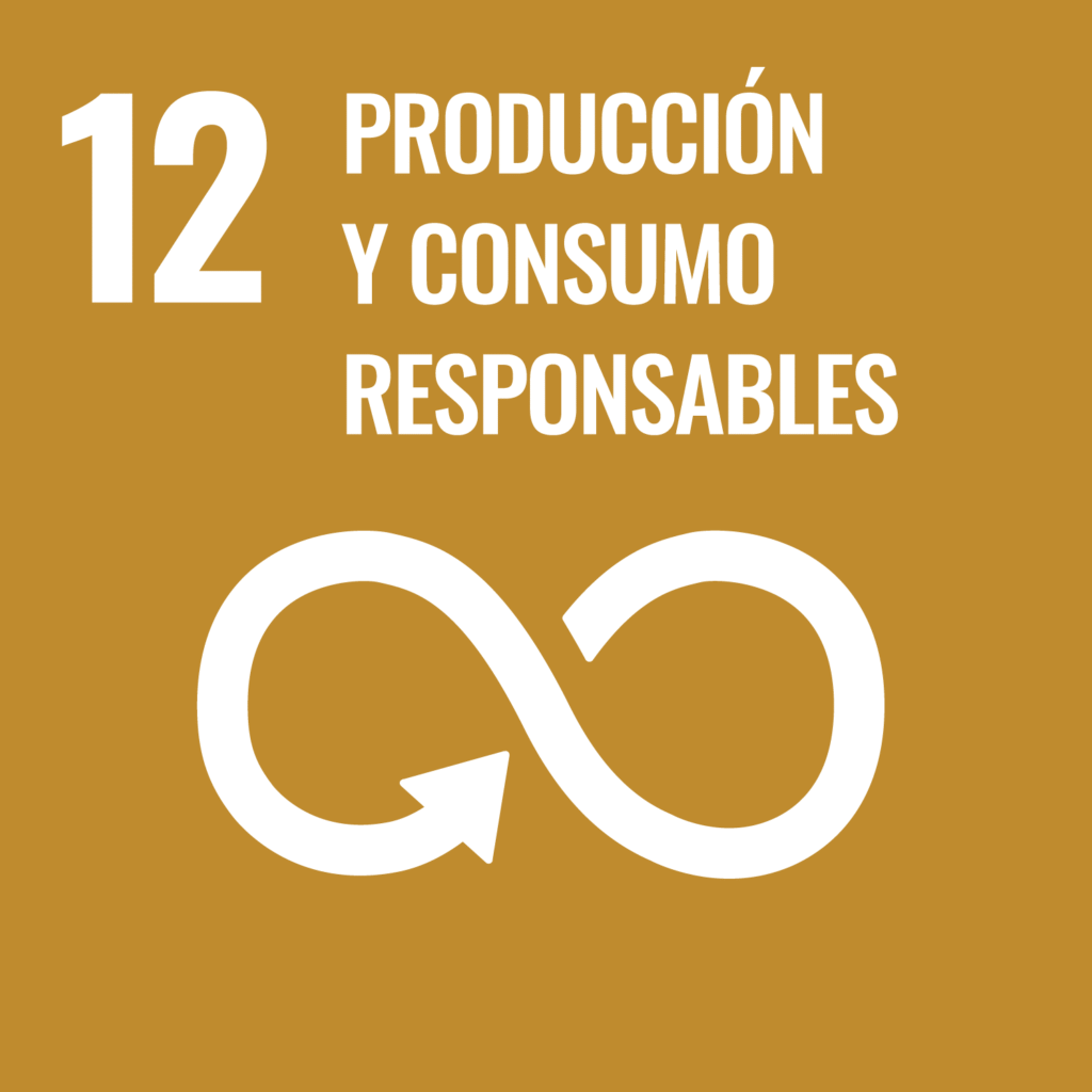 Movilidad Sostenibilidad